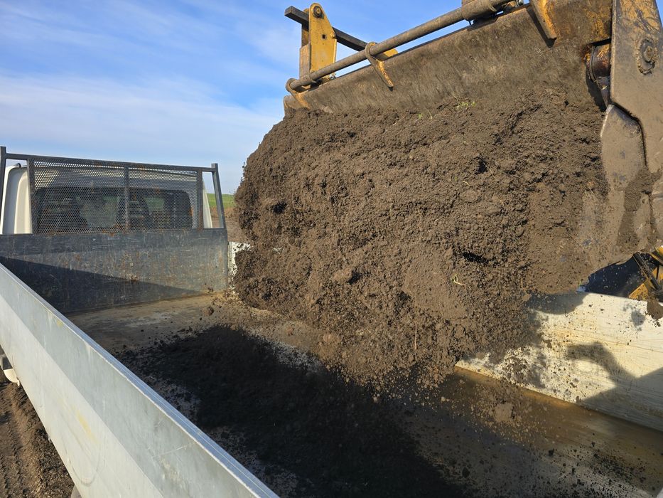 Pamant vegetal negru București sector 1 2 3 4 5 6 Ilfov Mogoșoaia