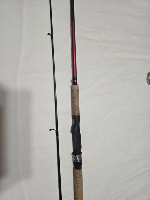 Фидер , болонеза , спининг