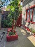 Vand casa cu 3 camere in Giurgiu
