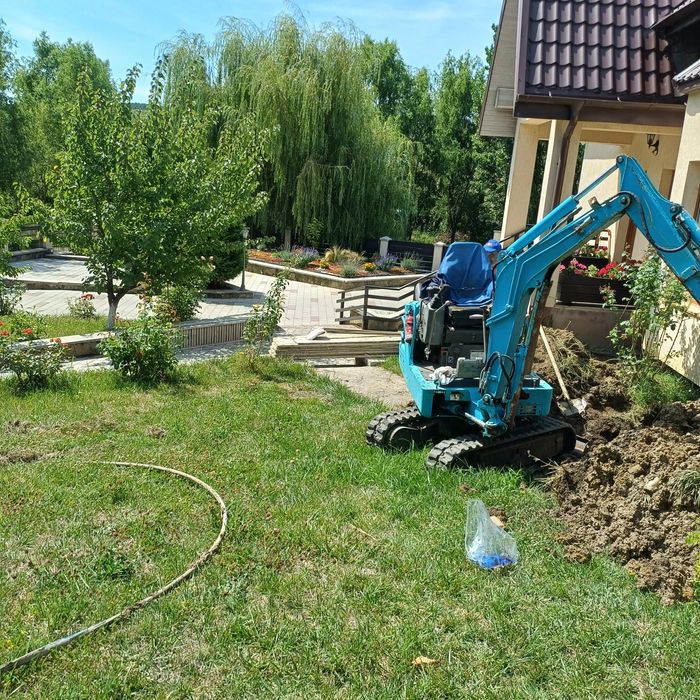 miniexcavator cu picon