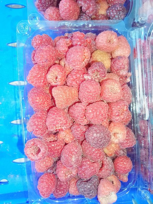 Zmeură de vanzare