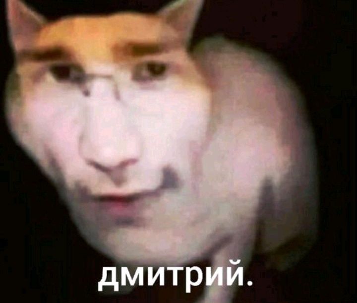 Продам Мейн-куна