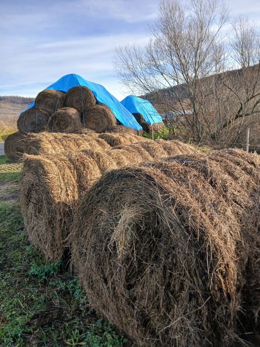 Vând Baloți Fânețe