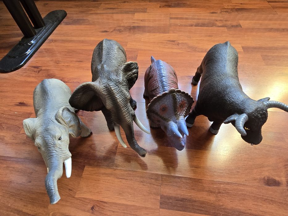 Animale- elefant, bivol etc