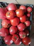 Продам домашние вкусные помидоры