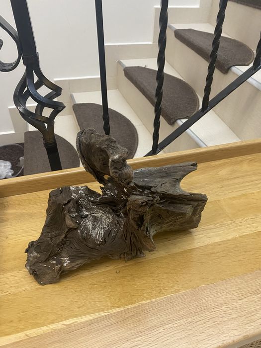 Accesorii acvariu pesti