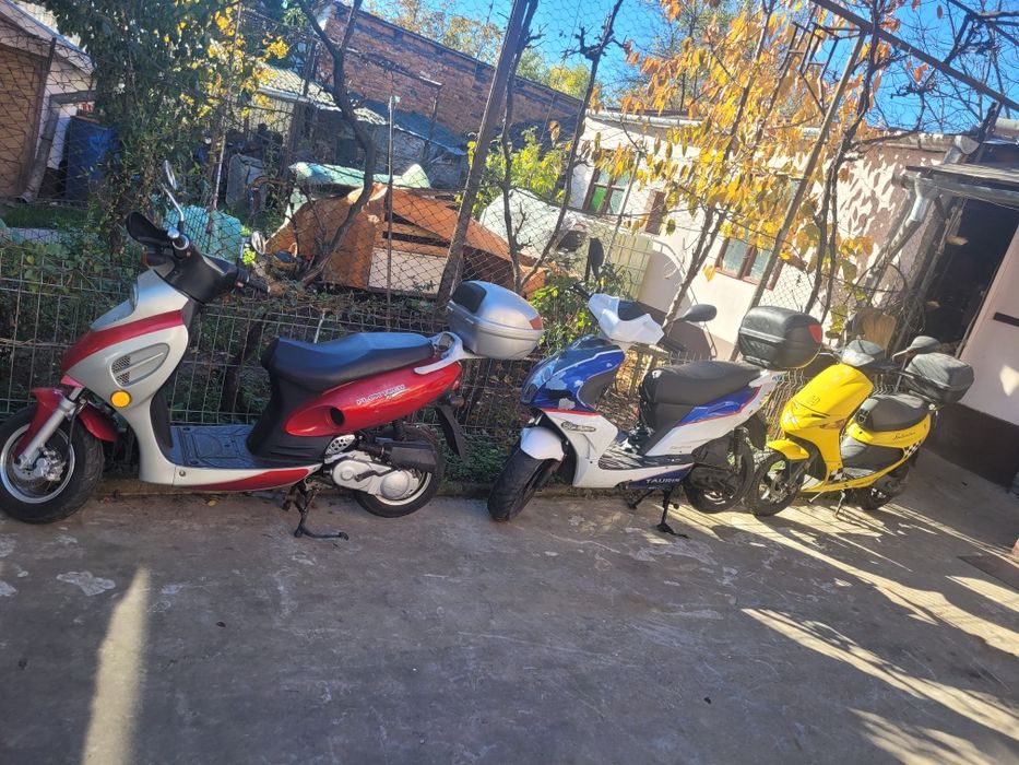 Scuter 50 cm 100 cm 125 cm