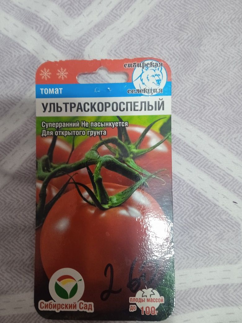 Рассада томатов.