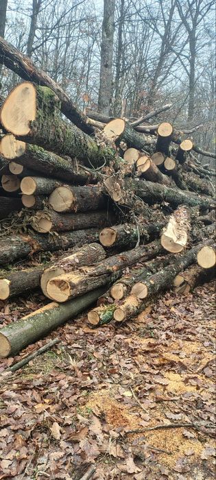 Vand lemne de foc esenta tare