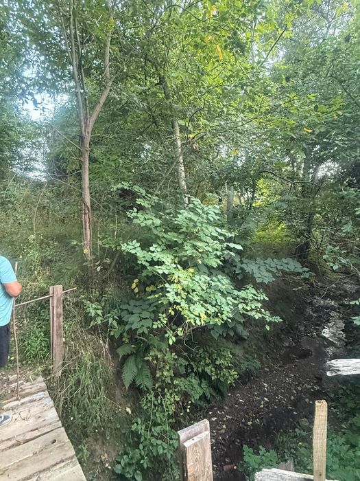 Teren intravilan Voinesti/Leresti 1700 mp