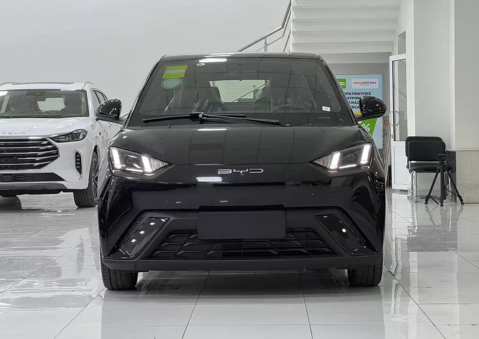 BYD Seagull 2024,2025