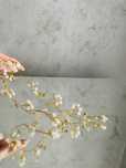 Accesoriu par mireasa
