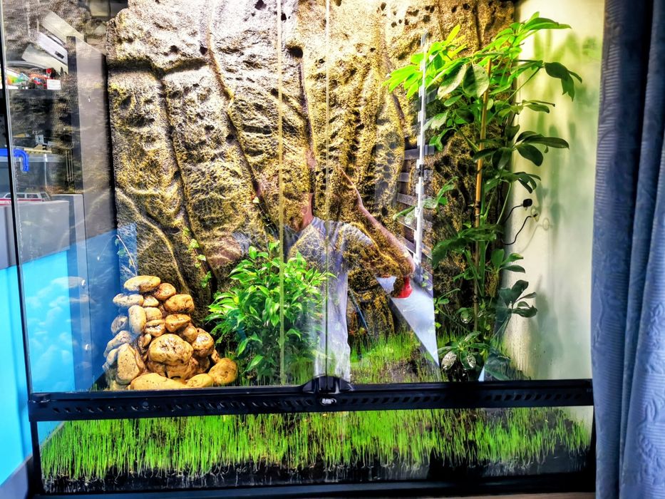 Vând terariu exo terra