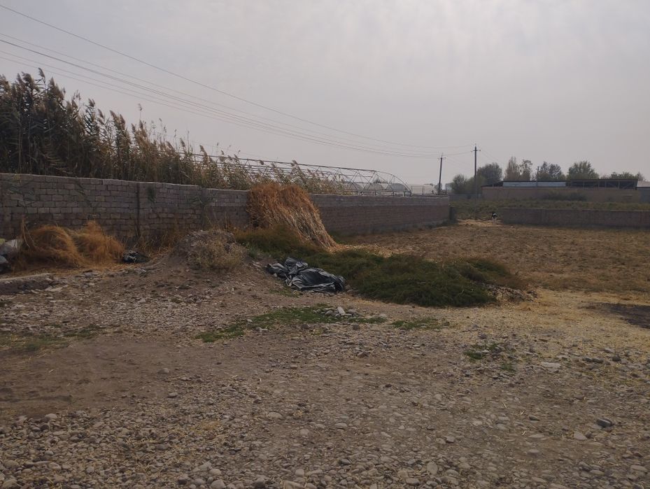 3xonali kafolati bilan