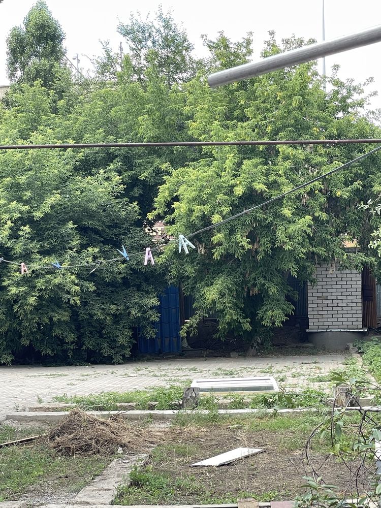 Дрова бесплатно. Надо срезать и забрать