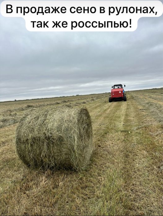 Сено рулон, пресс!