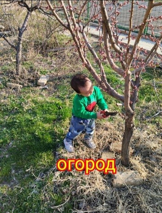 Срочно! Пр 3-Х ком.кв сол всеми удоб. 5- совхоз ( Азадбаш)