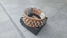 Zgarda Bestia "The Crown Collar"