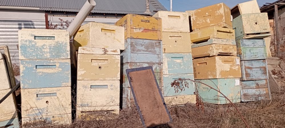 Продам ульи дадан полистирол