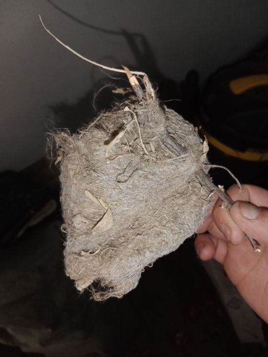 Ассалаумағалейкум куркылтай уиясы