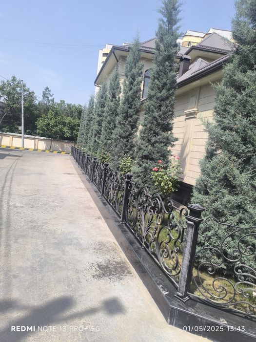 Gazon landshaft palift mkra klemint setka tortish