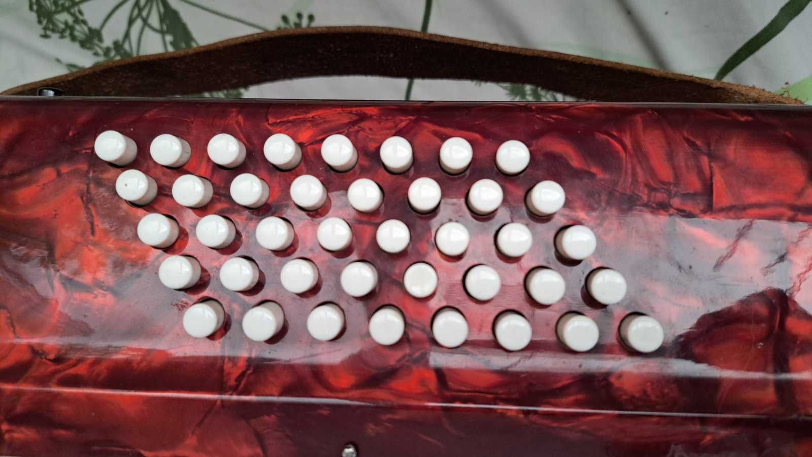 Акордеон 40 баса