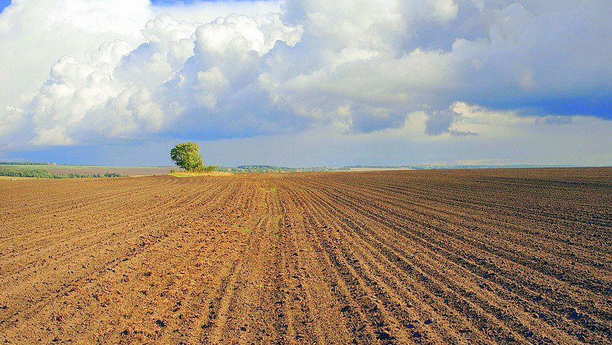 Пашня земля 393га, 1500га и 2500га, аренда