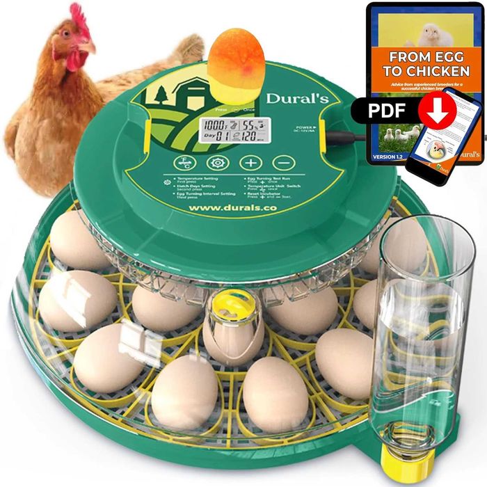 Incubator automat Dural DX5 pentru 18 oua cu control umiditate