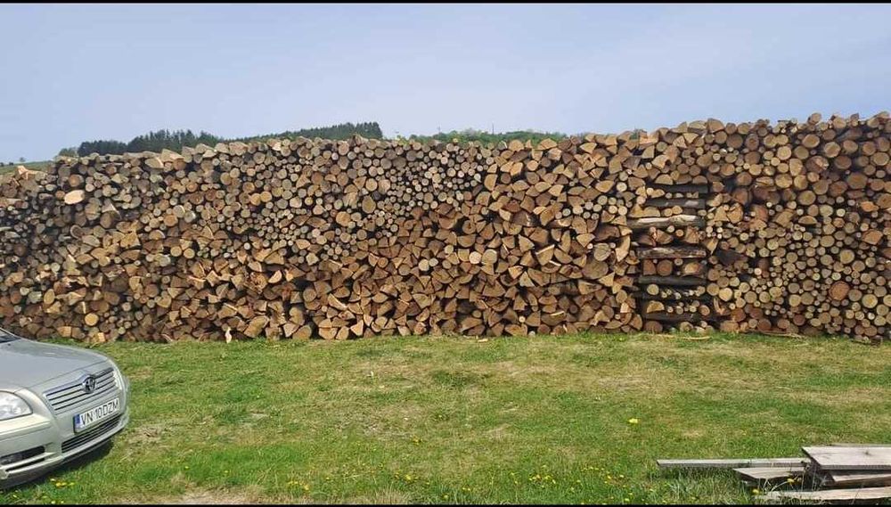 Lemn foc esență tare