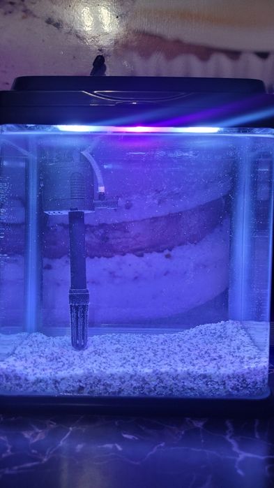 Оборудван аквариум