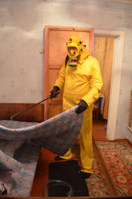 Жёстко наказываю клопов и тараканов (-за мной не надо переделовать)