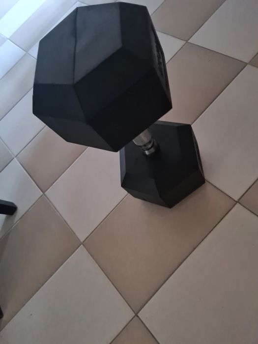 Професионален дъмбел  27,5 кг