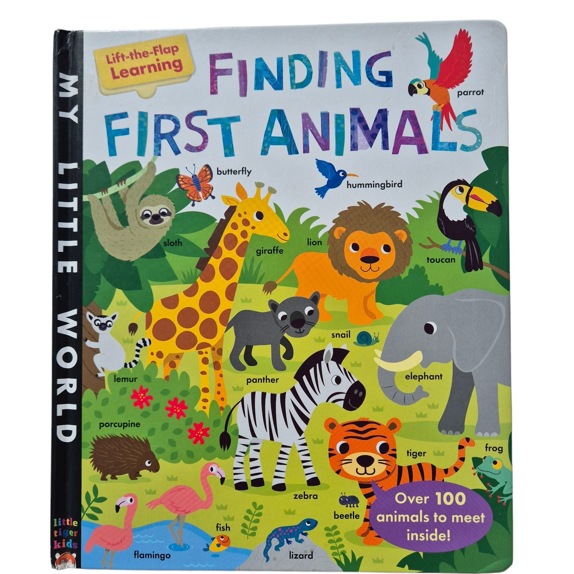 Lot 6 cărți educative tip „lift-the-flap” copii – Usborne, engleza
