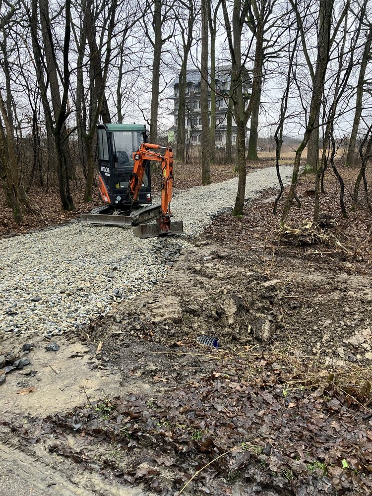 Transport basculabil&Miniexcavator&bobcat
