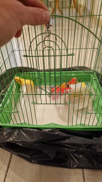 Colivie metalica medie pasari papagal canar pasare + accesorii