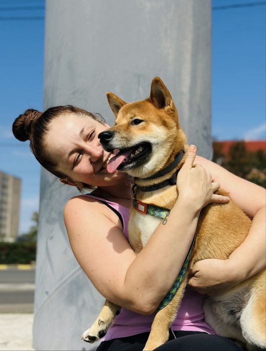 Petsitting | Îngrijitor animale - Plimbare, vizite, grãdiniță, cazare