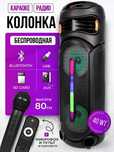 Портативная колонка с караоке Bluetooth ZQS8267