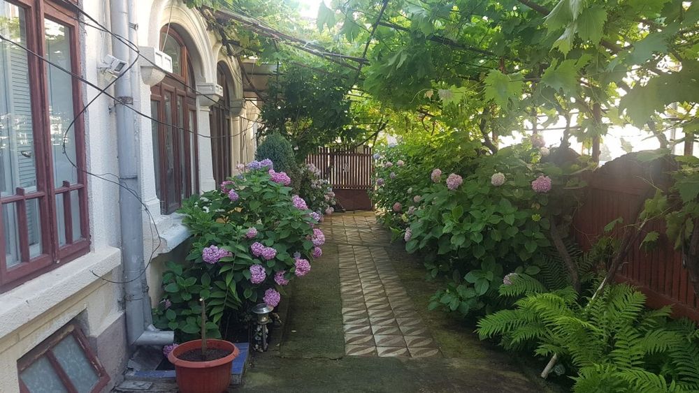 Casă pt locuit sau sediu firma ,desfășurare activități