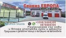 Сервиз европа сливо поле