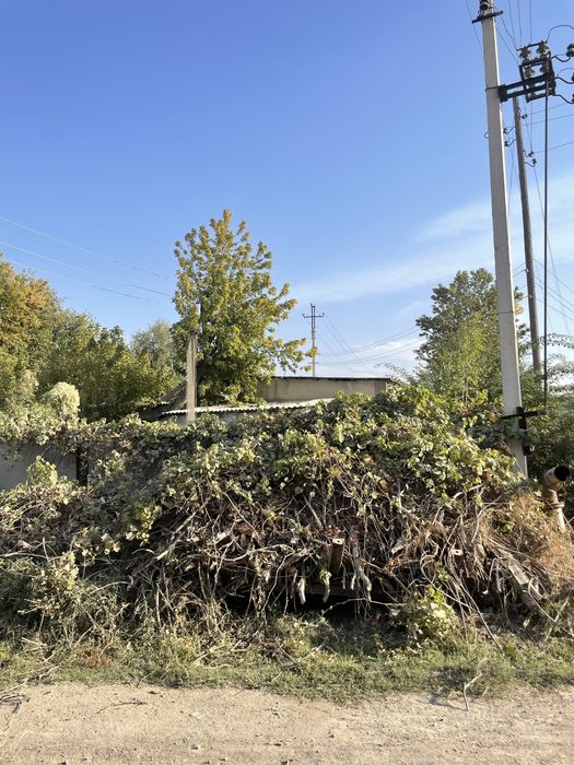Дерево ағаш отын тегін