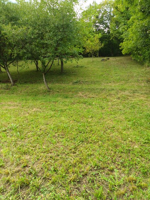 Teren de vanzare intravilan Bistra Muresului 4432mp