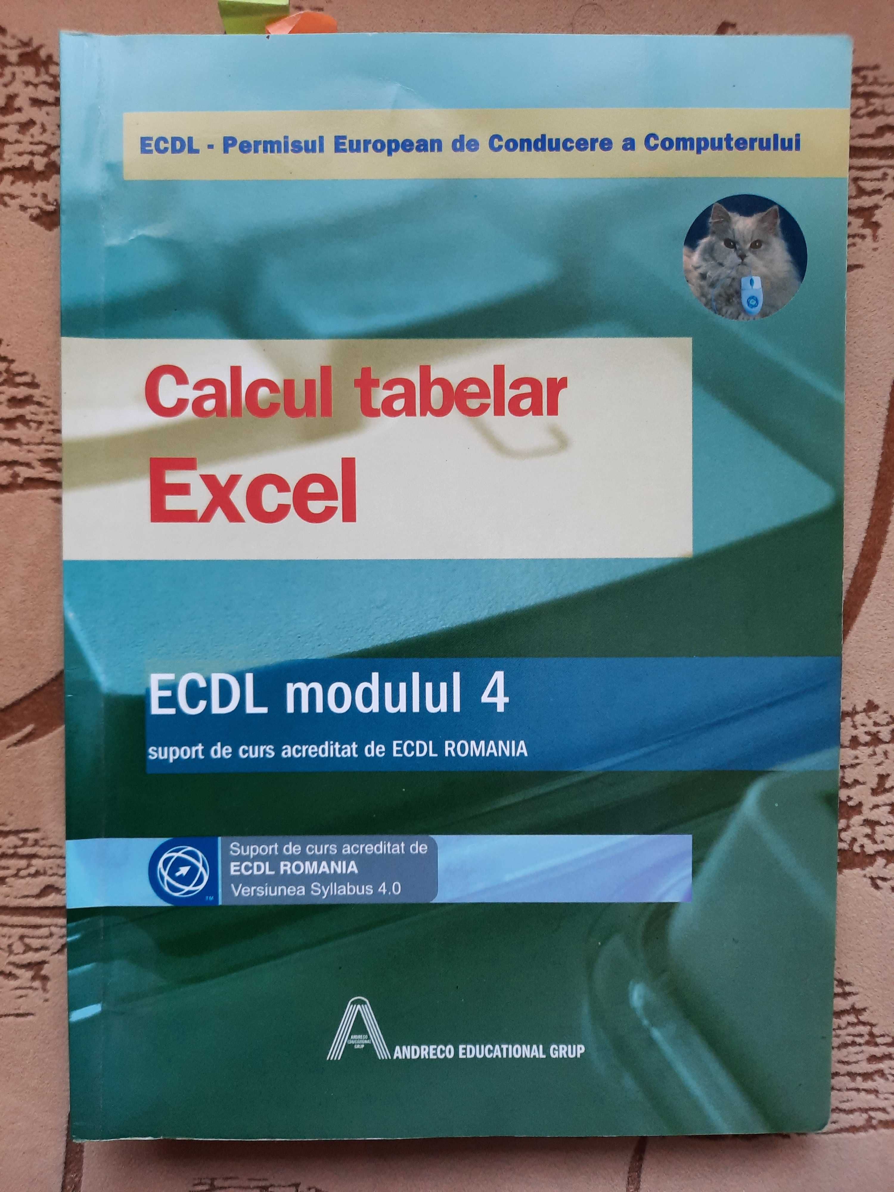 Manual ECDL Calcul tabelar - Microsoft Excel, Manual ECDL Baze de date