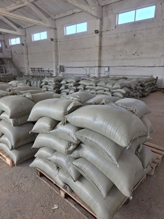 Зерно 70.000тг тонна