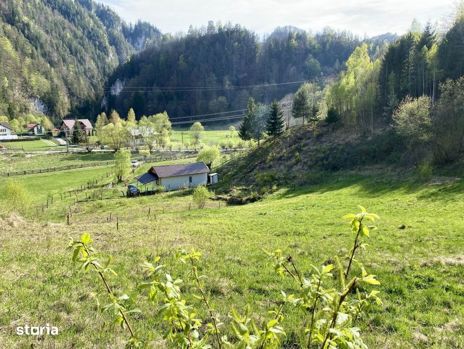 Teren panoramic insorit, utilitati, panta mica si padure, turism sau v