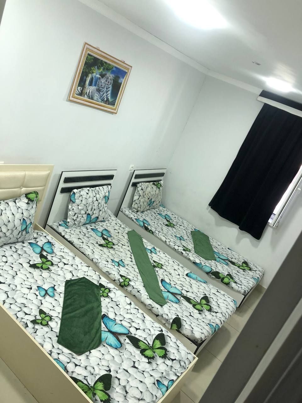 Дешёвые отели Бюджетный гостиницы hostel Xostel gastinisa