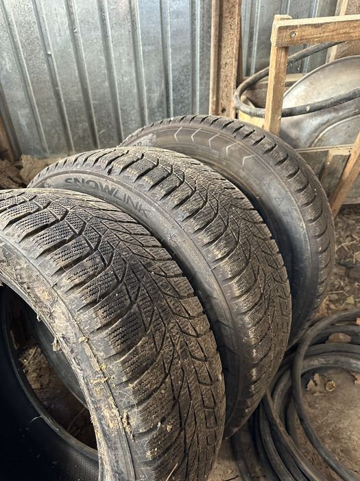 Зимный 17 лік балон