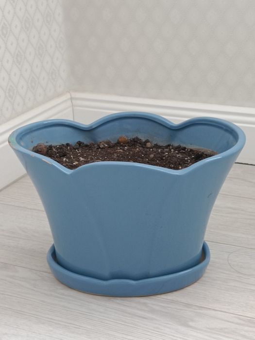 Продаётся керамический большой горшок или меняю на цветок