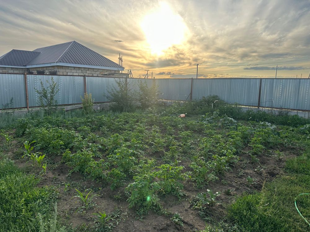 Продам дом в Беккул баба