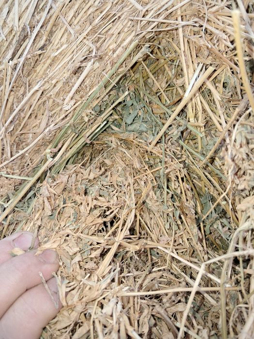 Baloti lucernă coasa 3-4