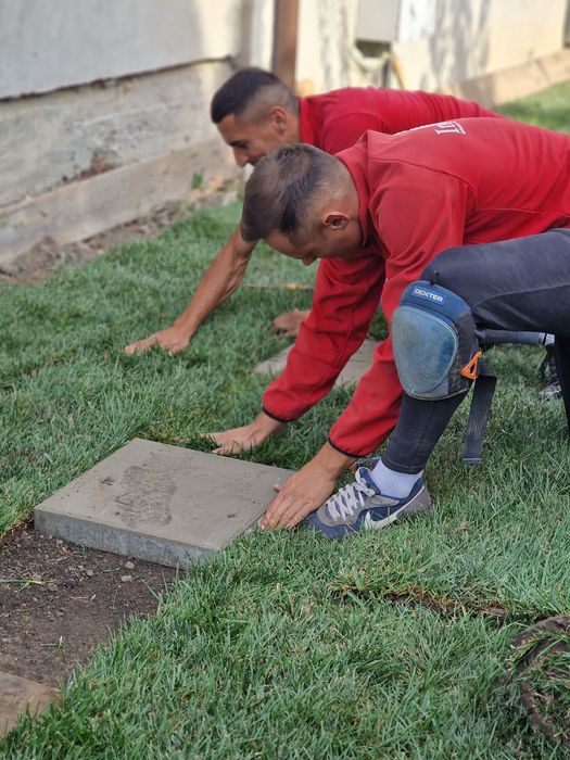 Gazon natural rulouri sau semințe